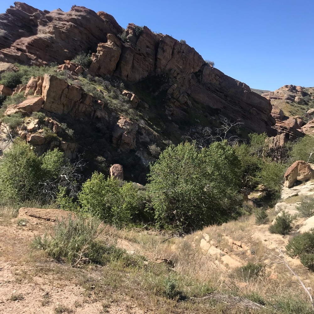 Meet your Posher, Brenda